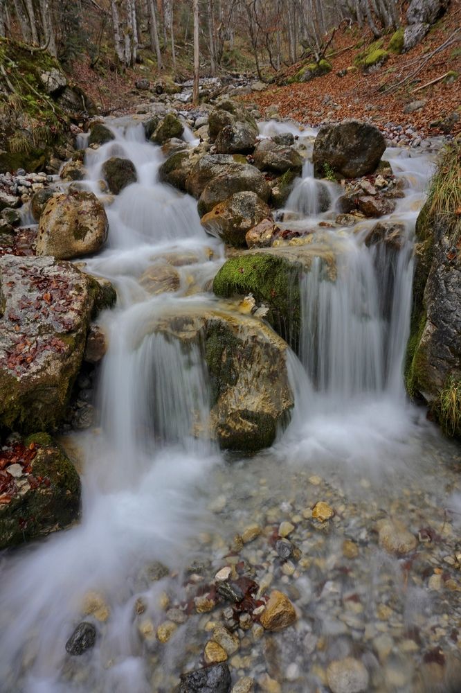 Фотография автора Liudmila Kiermeier