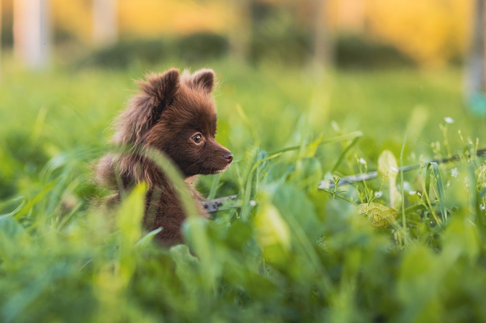 Фотография автора Лукьянов Евгений