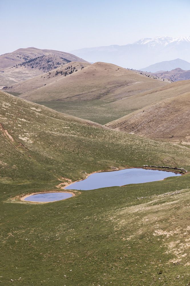 Фотография автора Jessica Azzaro