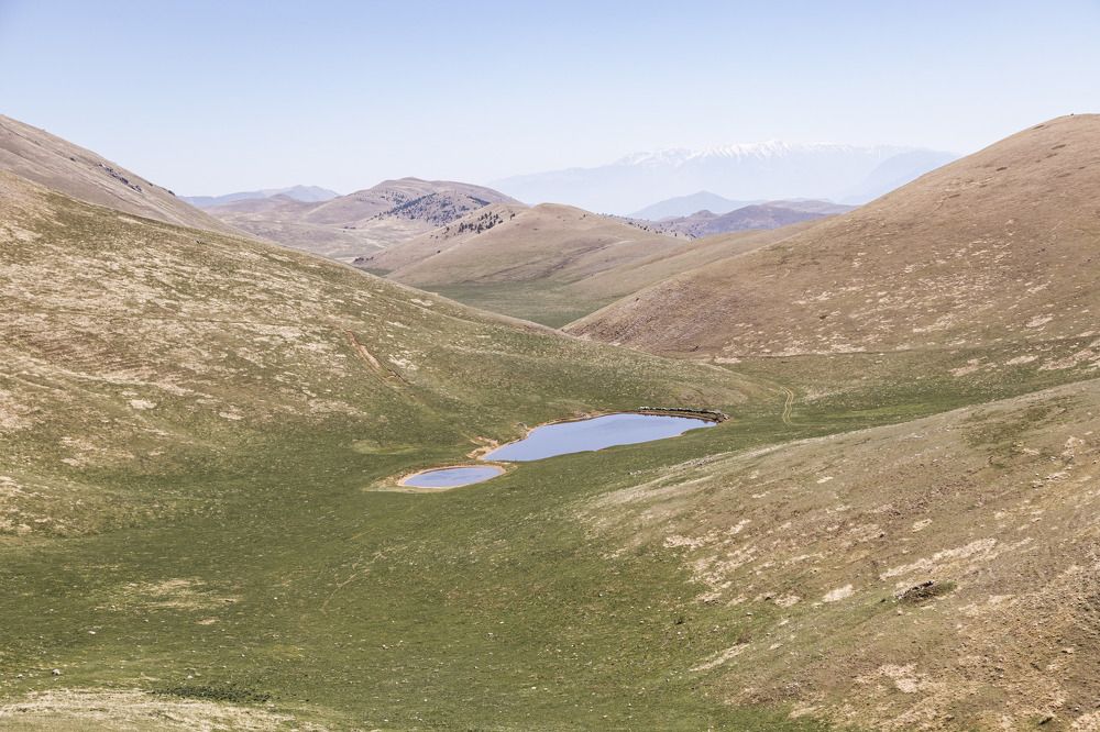 Фотография автора Jessica Azzaro