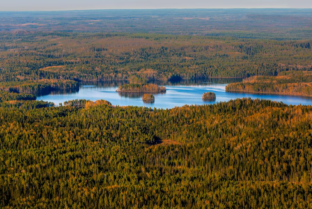 Архангельские просторы.
