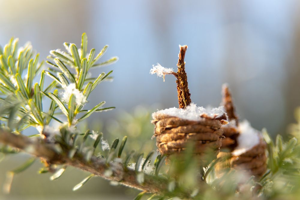 Photograph by Илья Сторожко