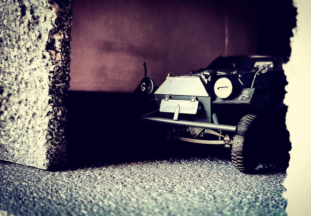 Photograph by Шиндяпин Василий