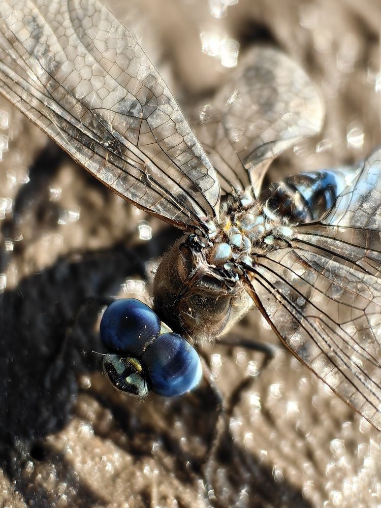 Photograph by Аркадий К