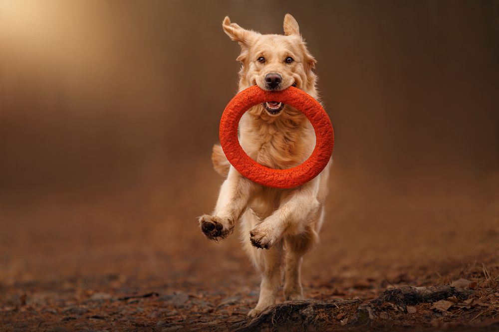 Photograph by Яна Нарбутович