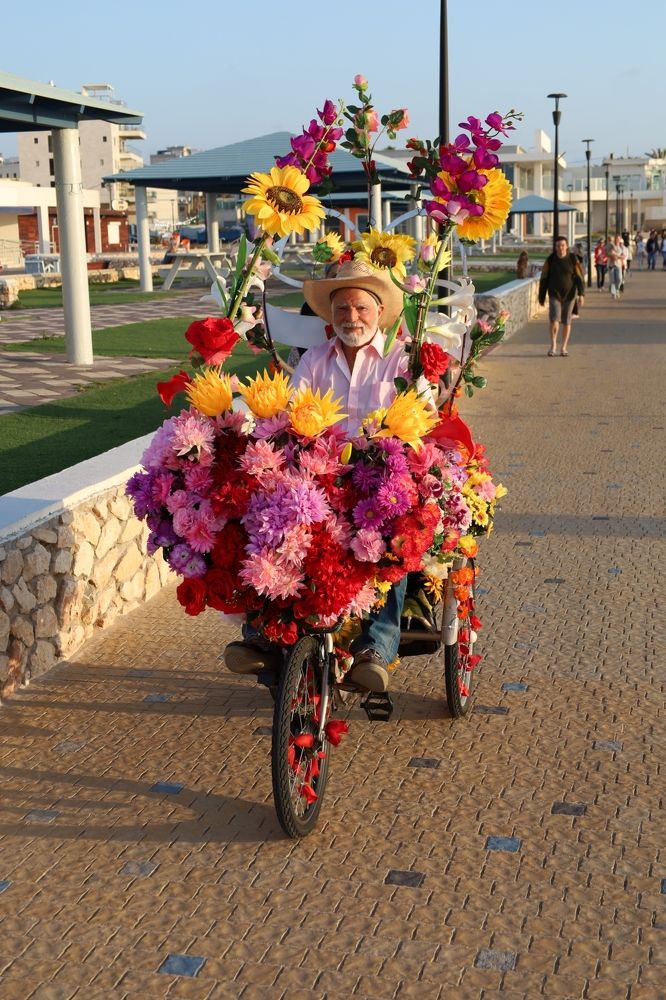 Photograph by Sharone