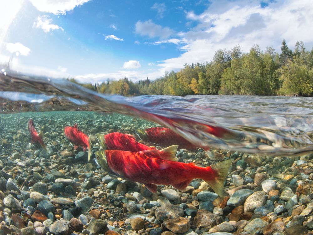 Photograph by Shuo-Wei Chang