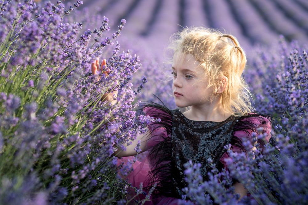 Photograph by Дмитрий Морозов