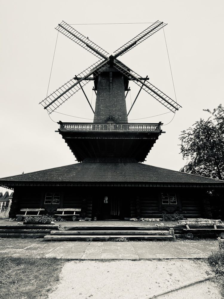 Фотография автора Vera Dobychina