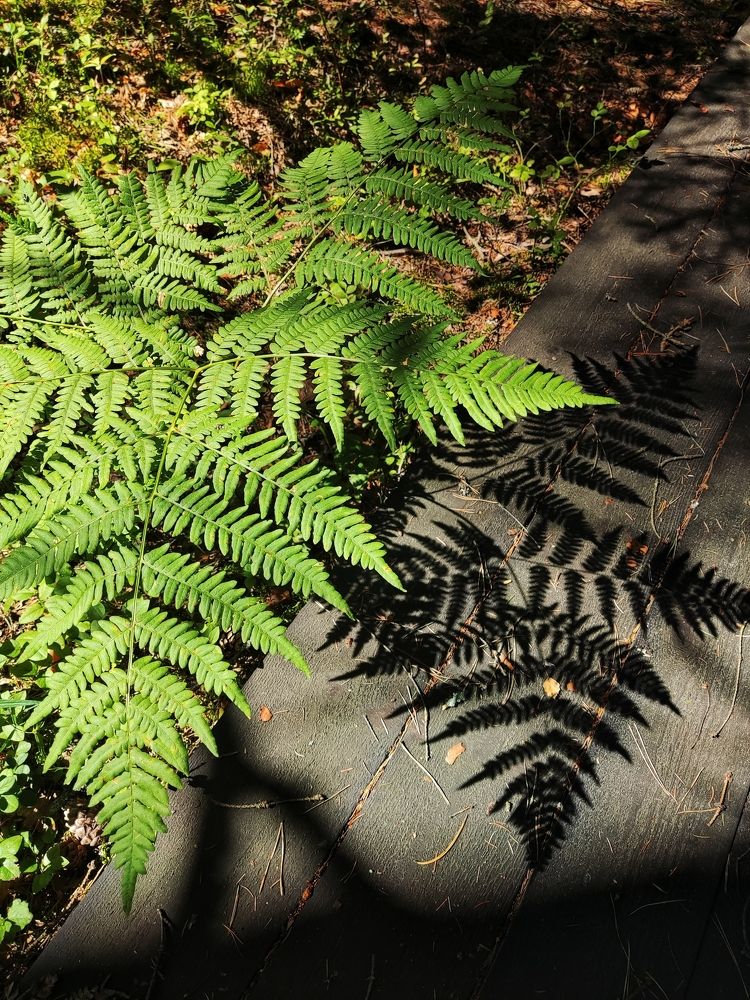 Photograph by Дмитрий Фетисов