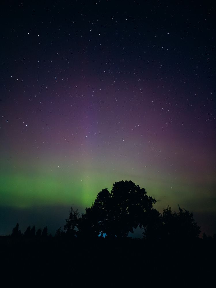 Photograph by Алиса Нежинская