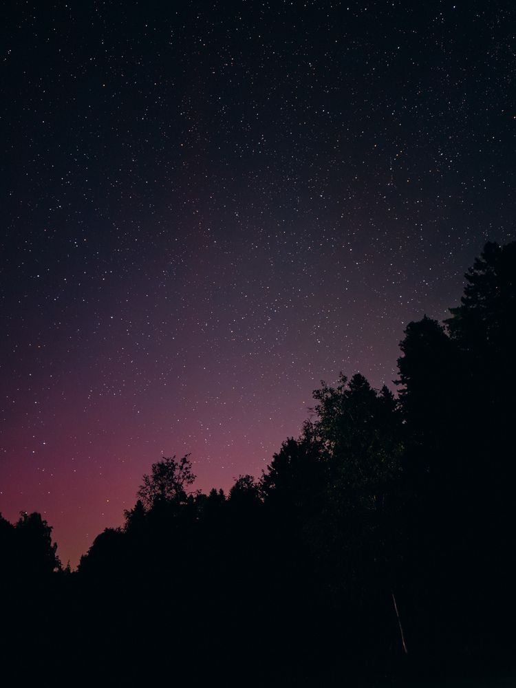 Photograph by Алиса Нежинская