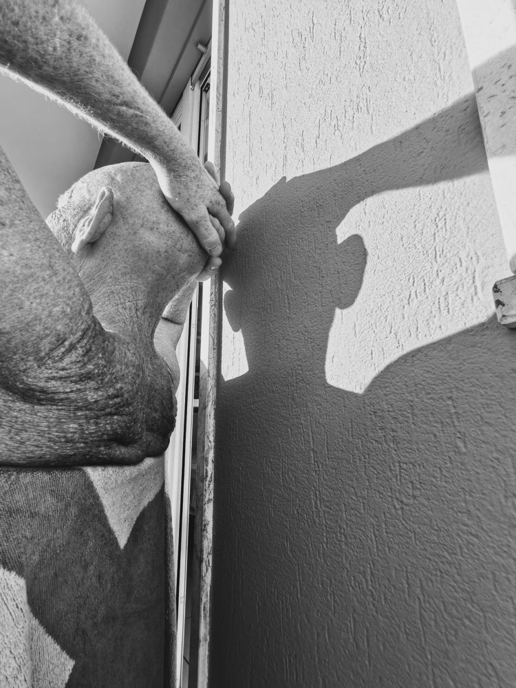 Photograph by Irina Tischer