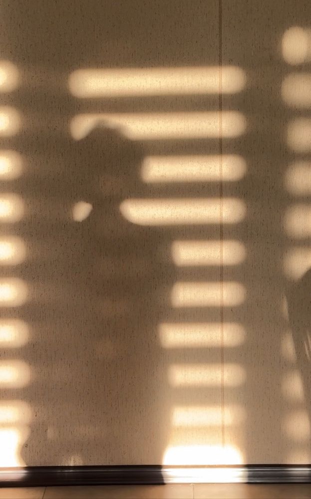 Photograph by Белла