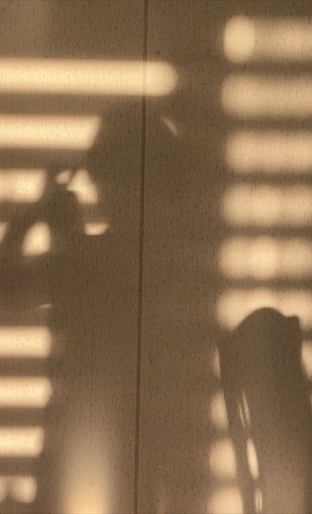 Photograph by Белла