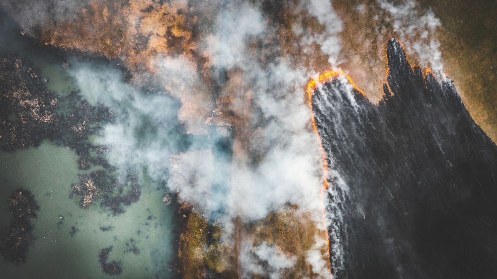 Photograph by Александр Давидик