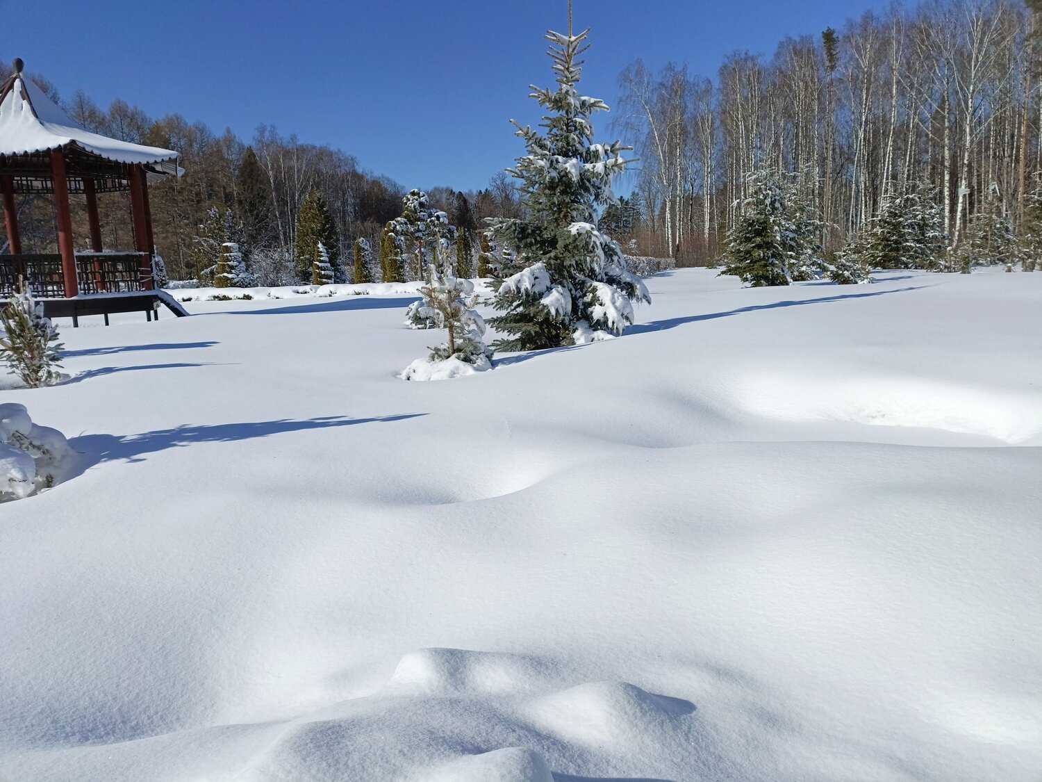Photo #11031676