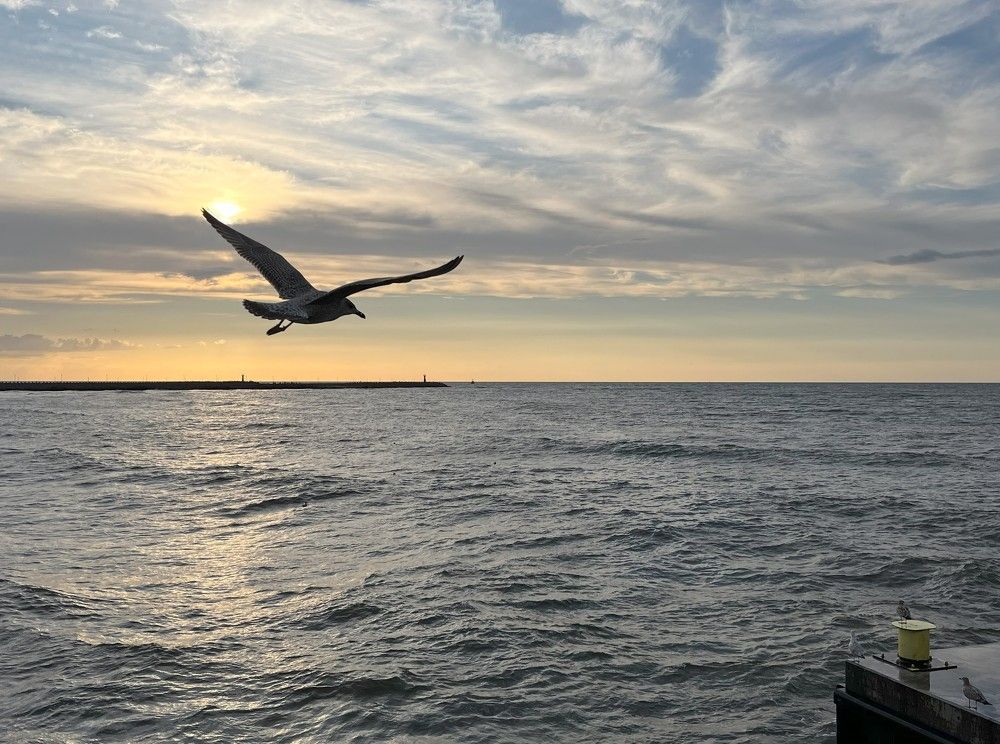 Return after touching the sun.