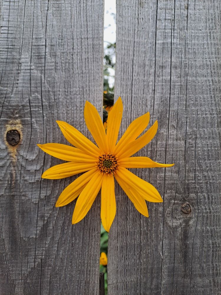 Photograph by Ирина Ахметова