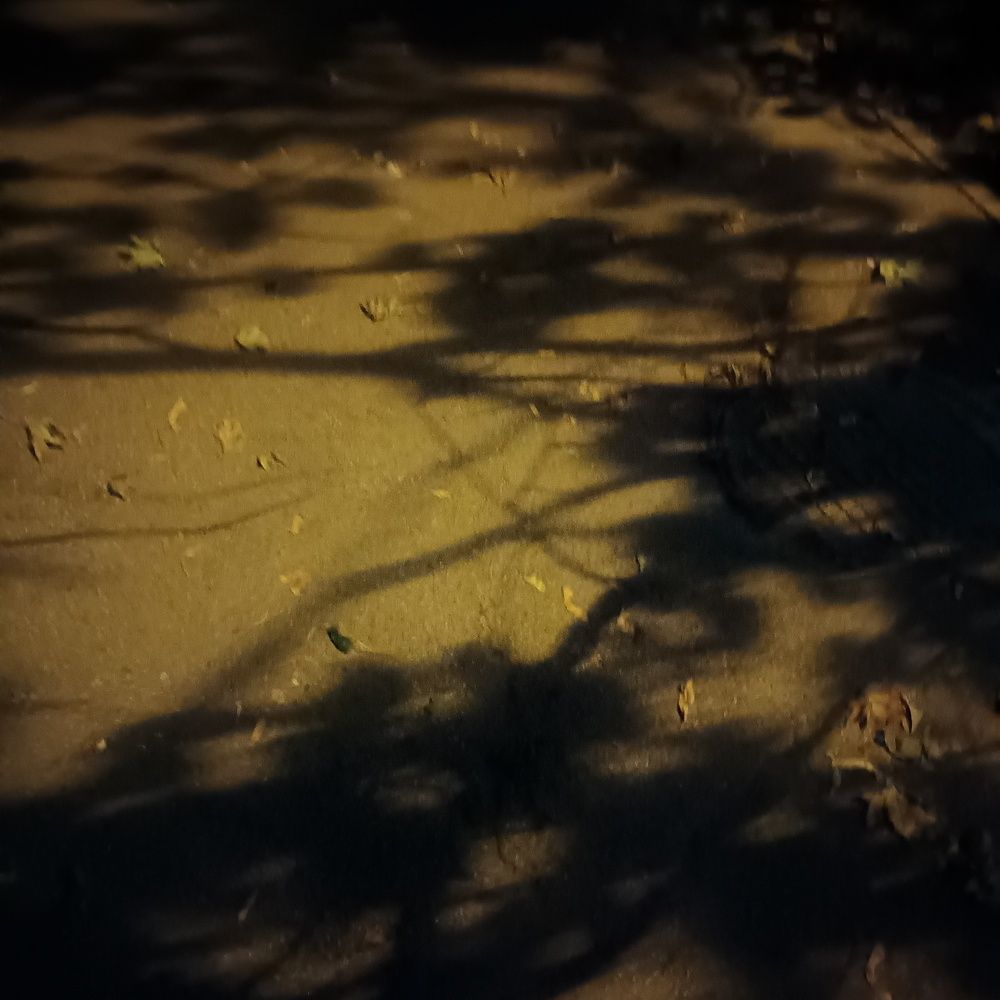 Фотография автора Maks Lanister