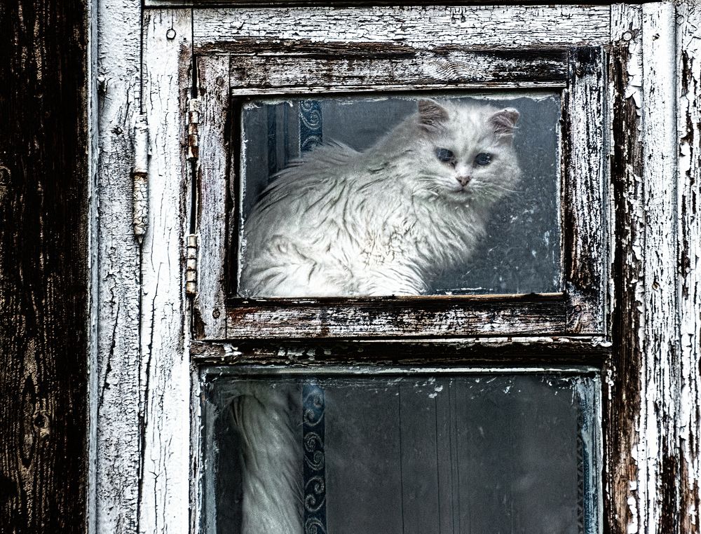 Photograph by Владимир