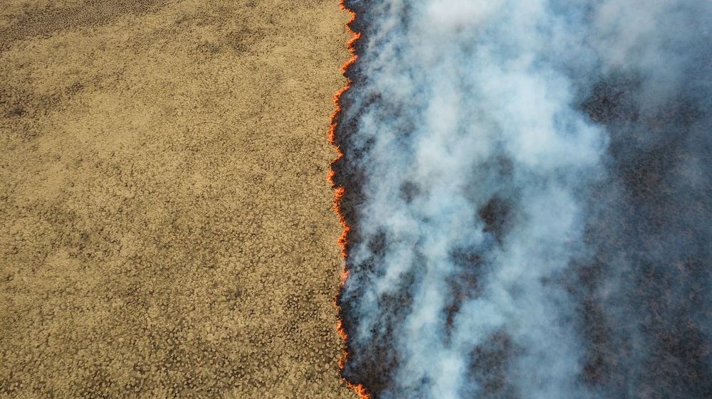 Photograph by Денис Алфёров