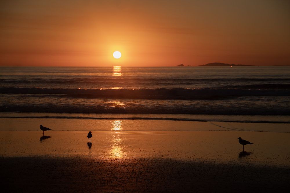 Photograph by Yenia Leyva