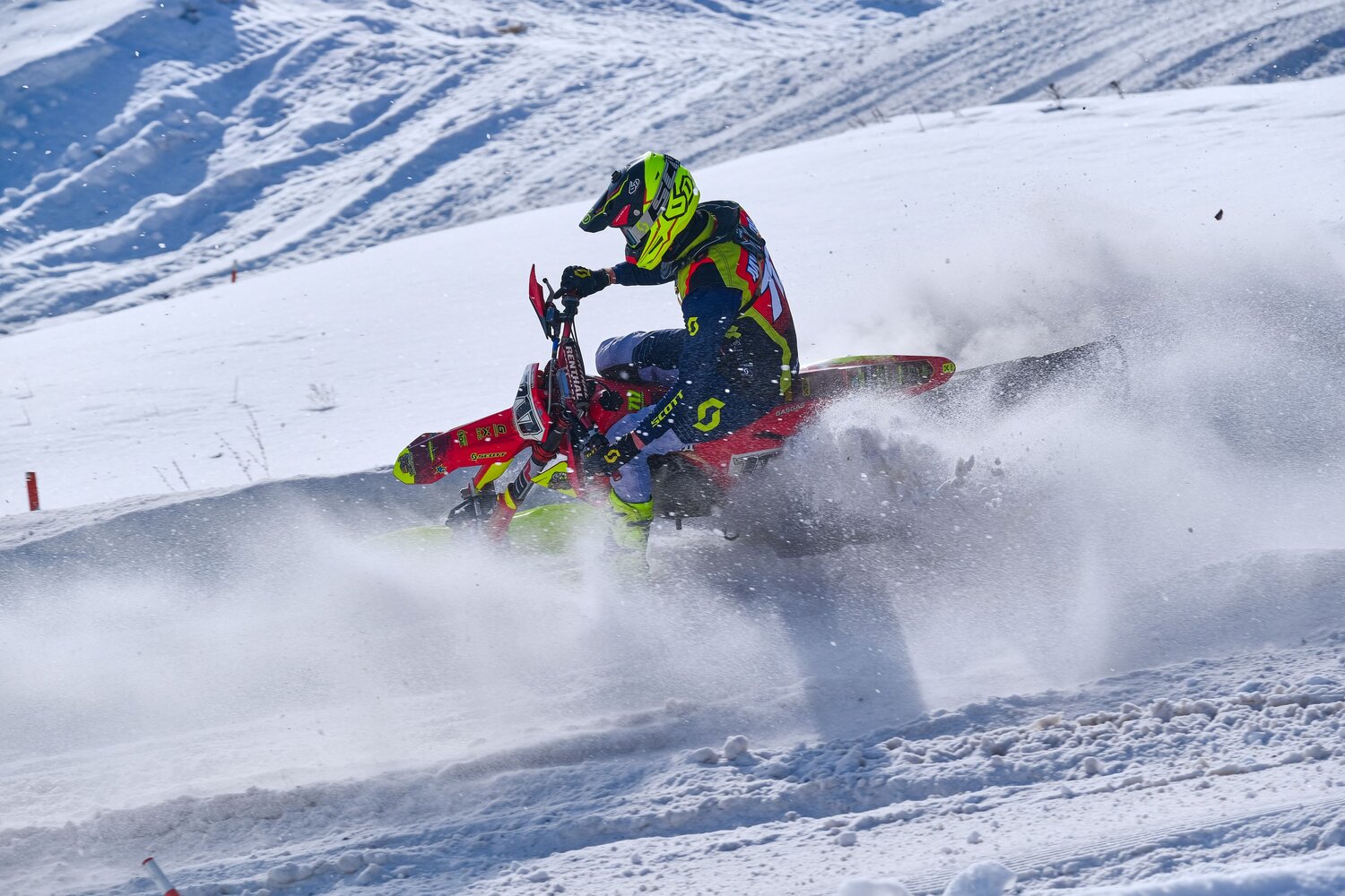 Photo #11032112
