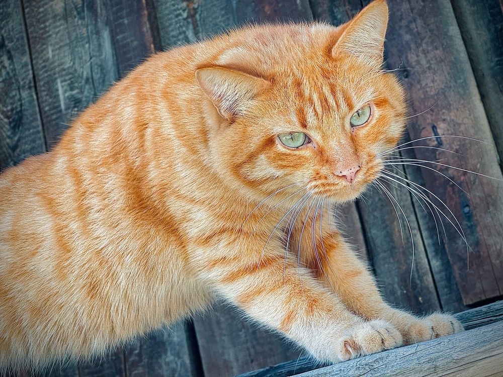 Photograph by Лев Солдатов