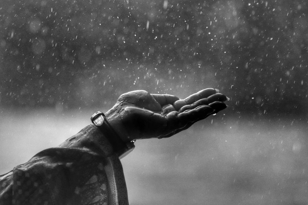 Фотография автора Washiful Majid