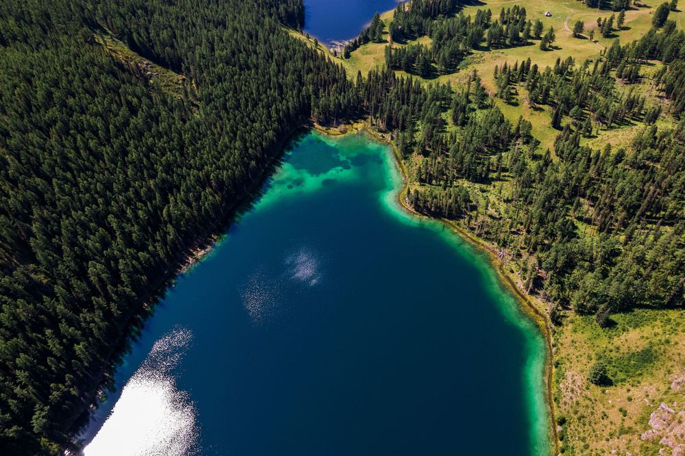 Фотография автора Totoro