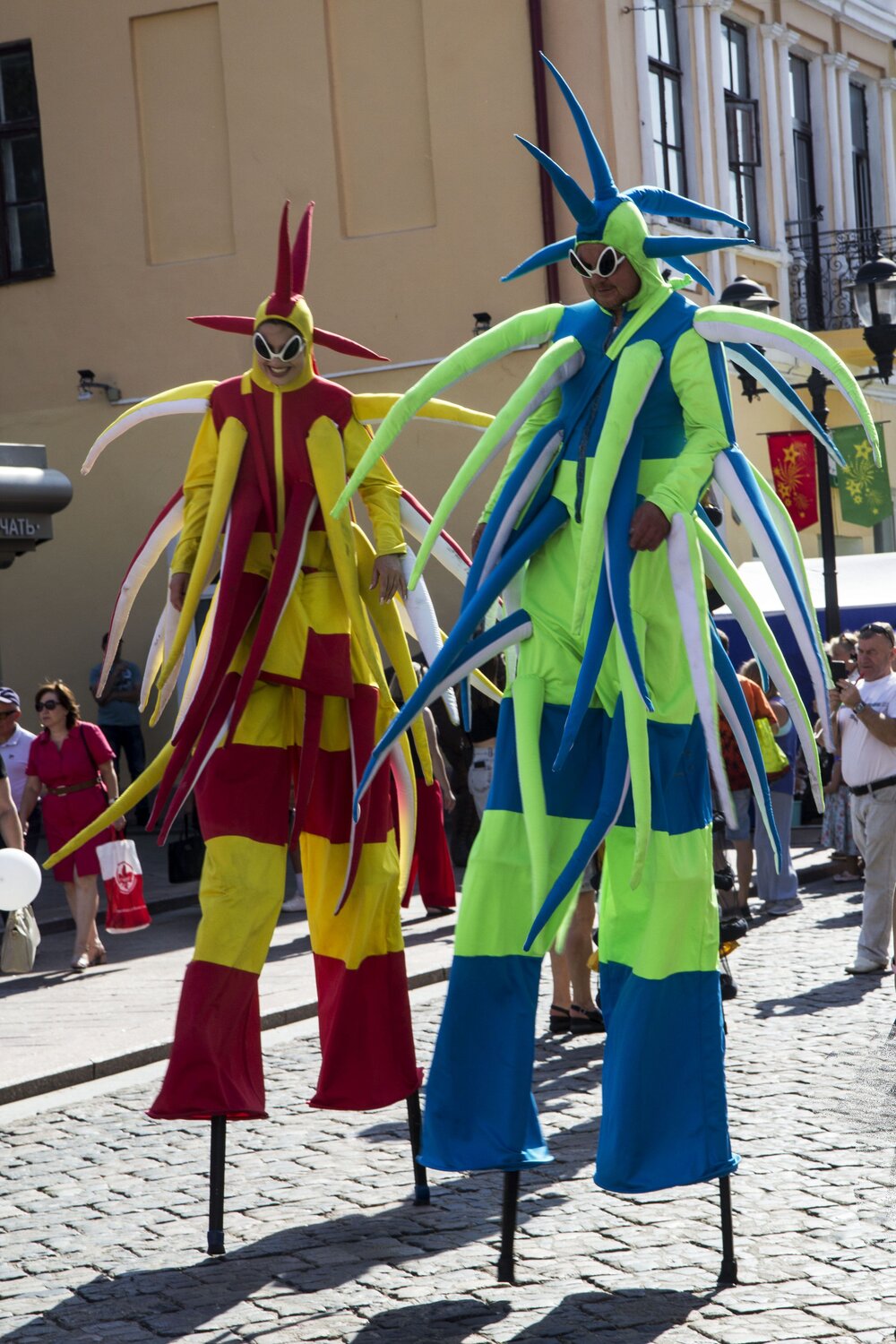 Photo #11032310