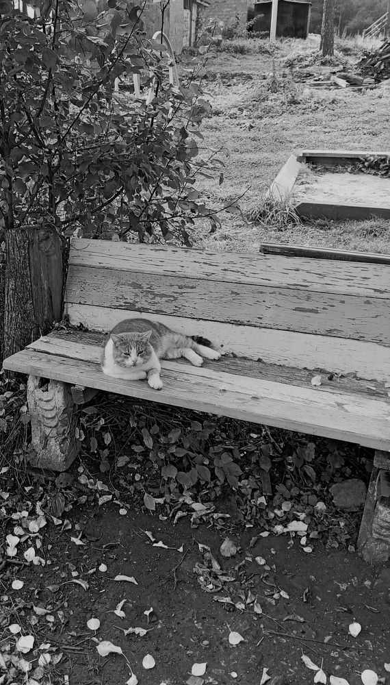 Photograph by Rudakov Jaroslav