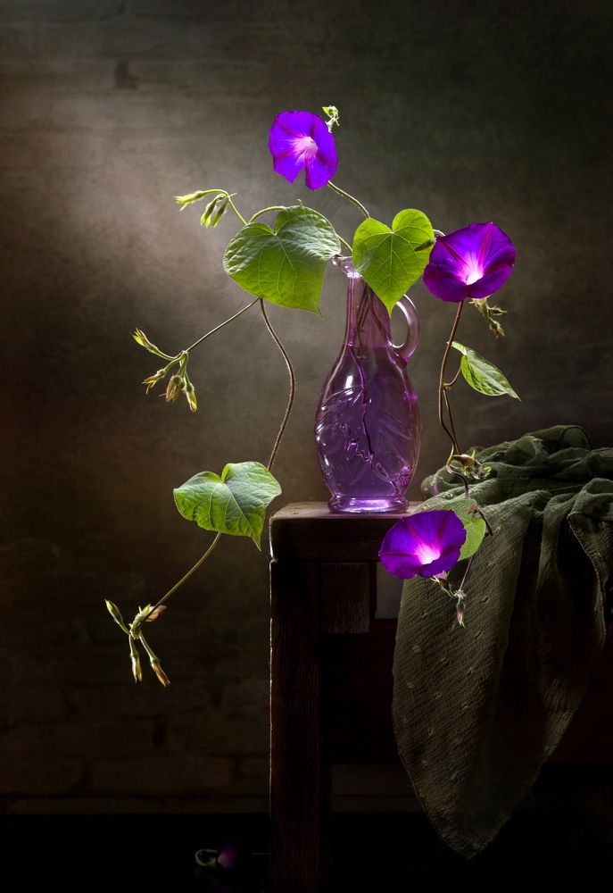 Photograph by Ирина Толокновская