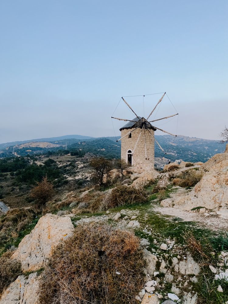 Photograph by Анастасия Сартакова