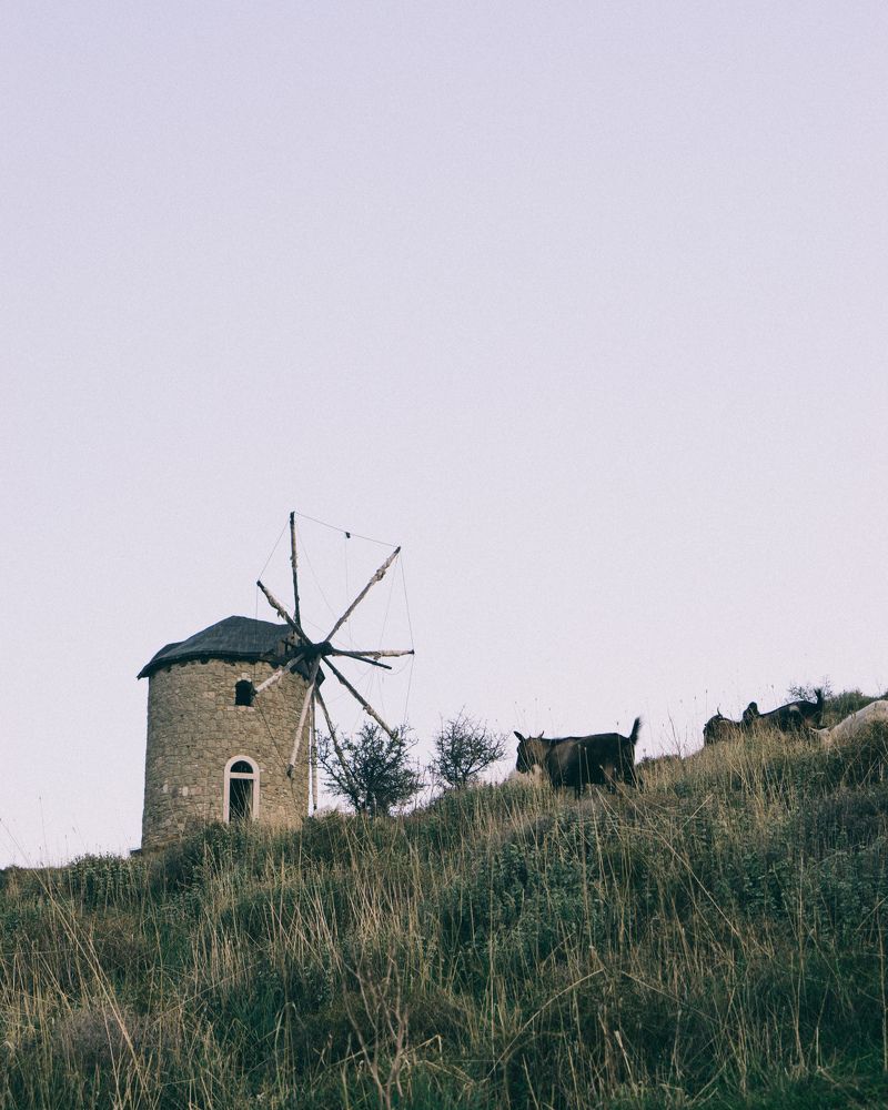 Photograph by Анастасия Сартакова