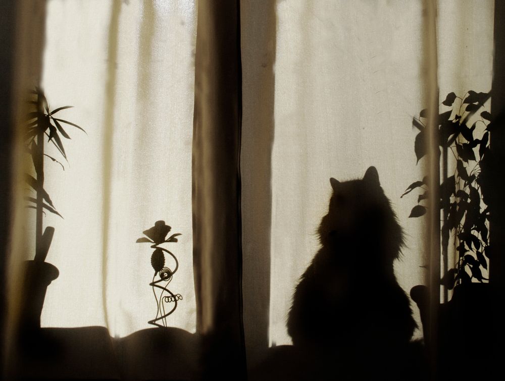 Фотография автора Людмила Прокофьева