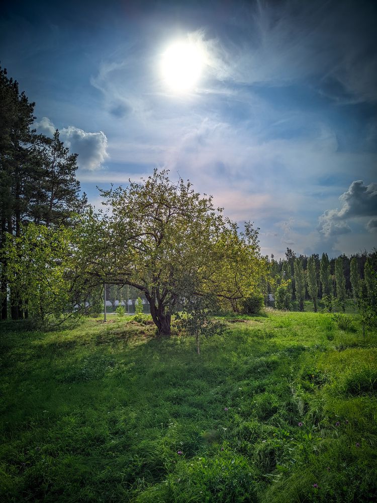 Photograph by Олега Тор