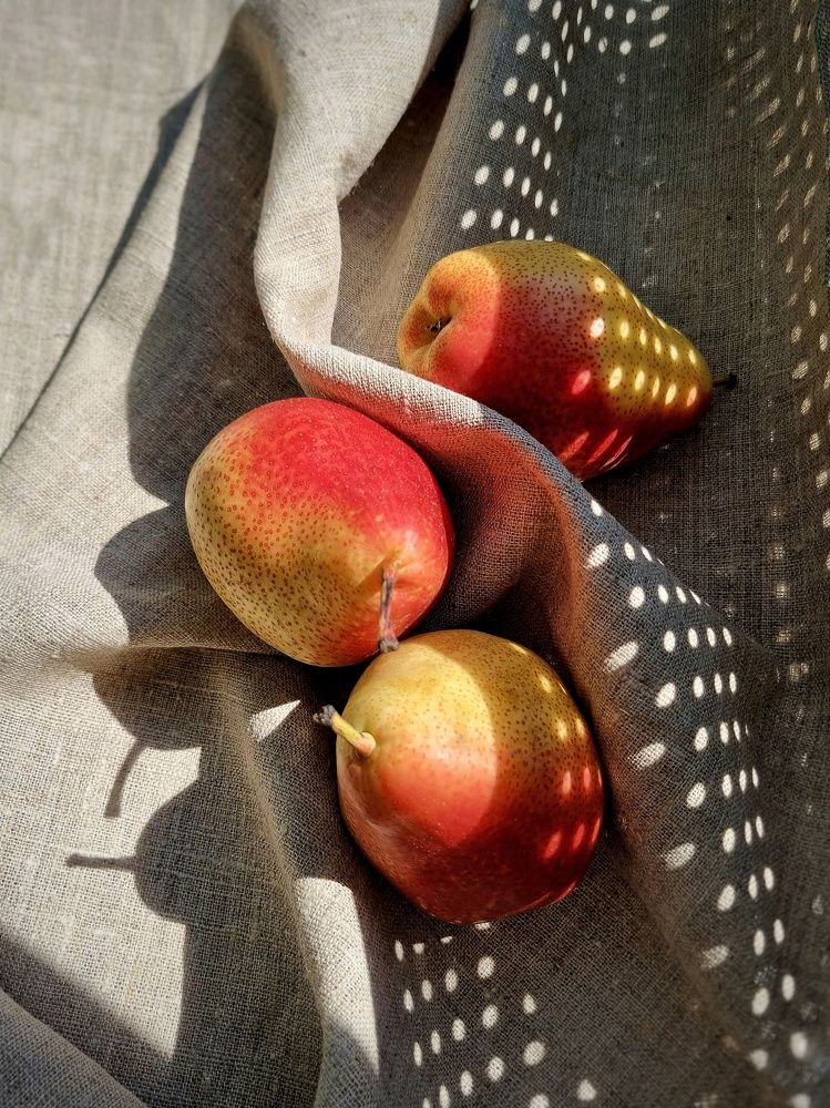 Груши и тени