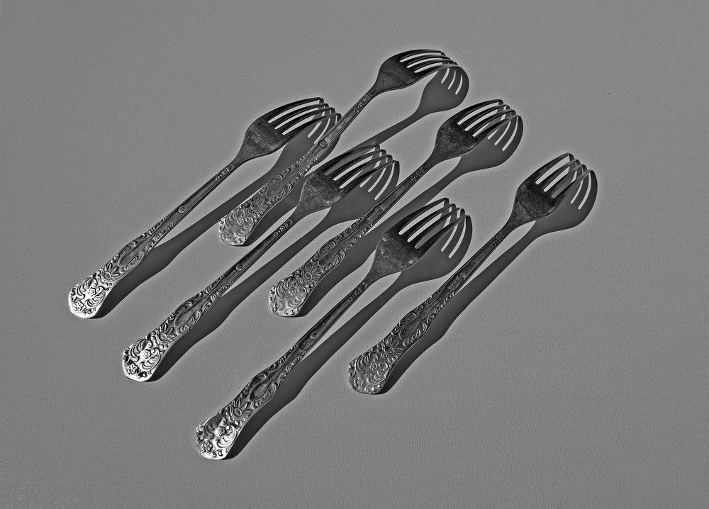 Фотография автора Шипунова Ирина