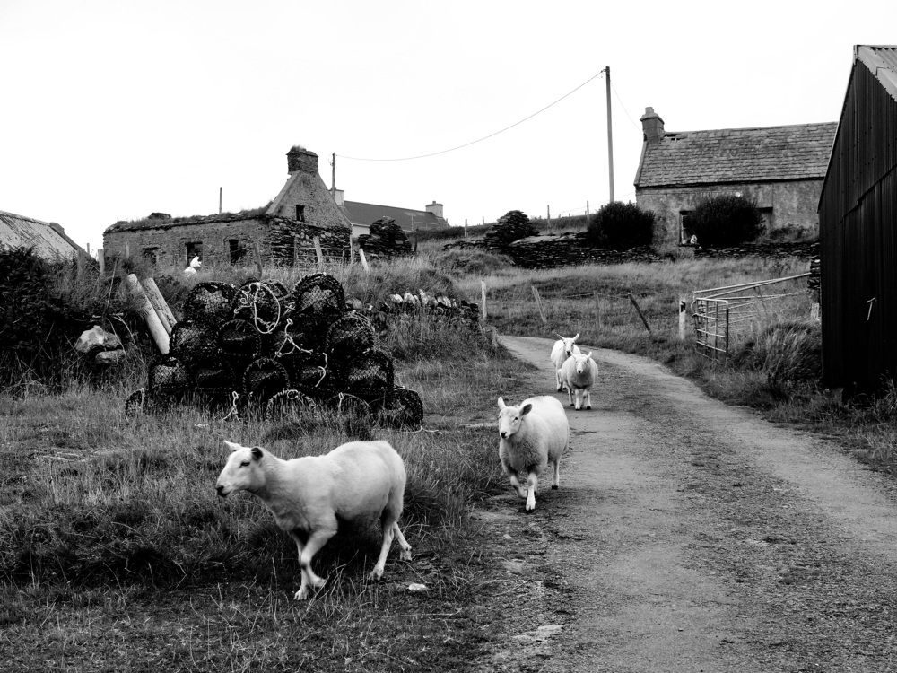Photograph by Francesca Falgari