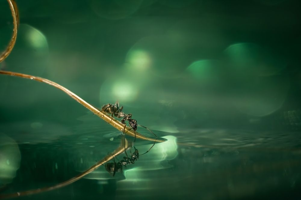 Photograph by Николай Фонарёв