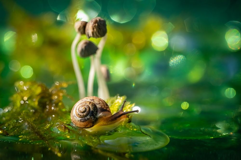 Photograph by Николай Фонарёв