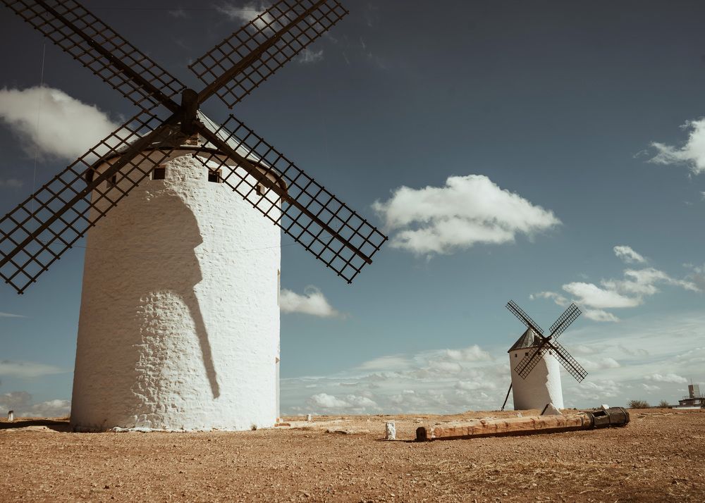 Photograph by Диана Трильо