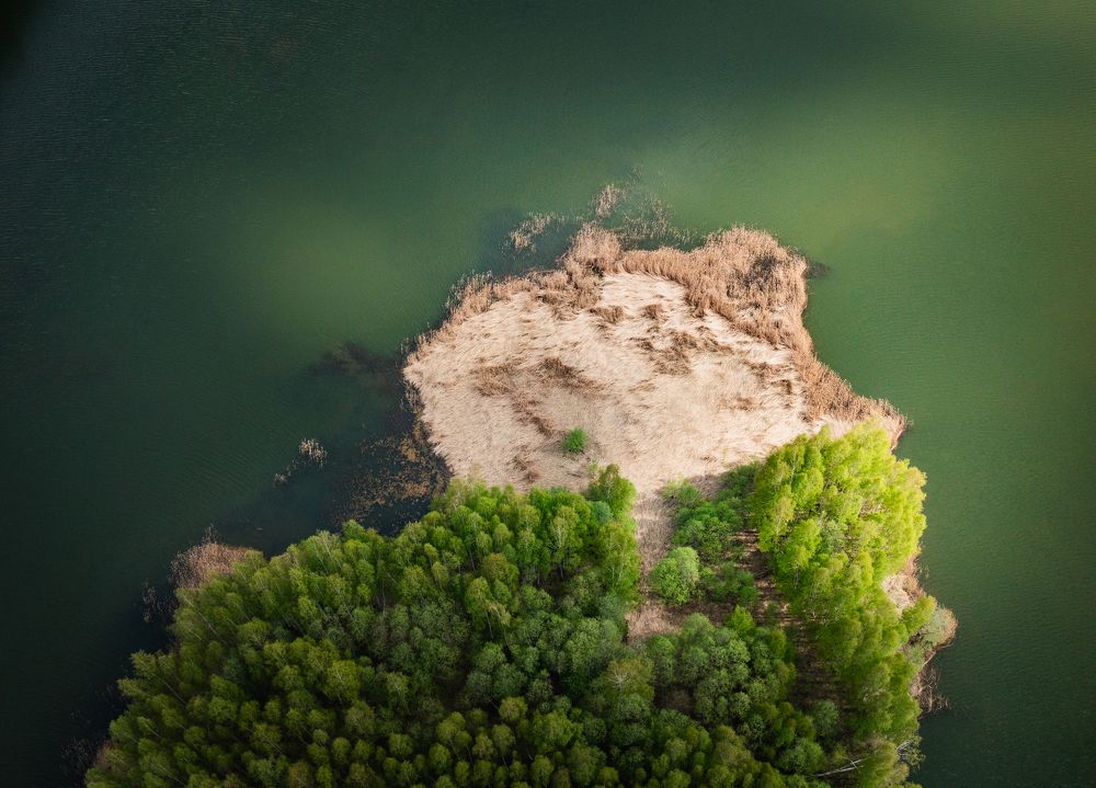 Photograph by Александр Давидик