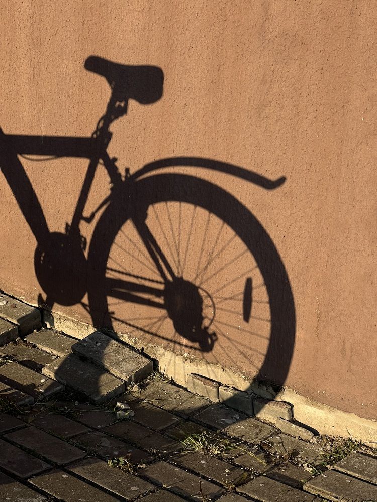 Photograph by Юлия Петровская