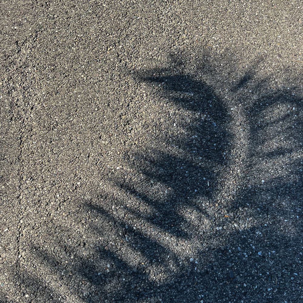 Photograph by Юлия Петровская