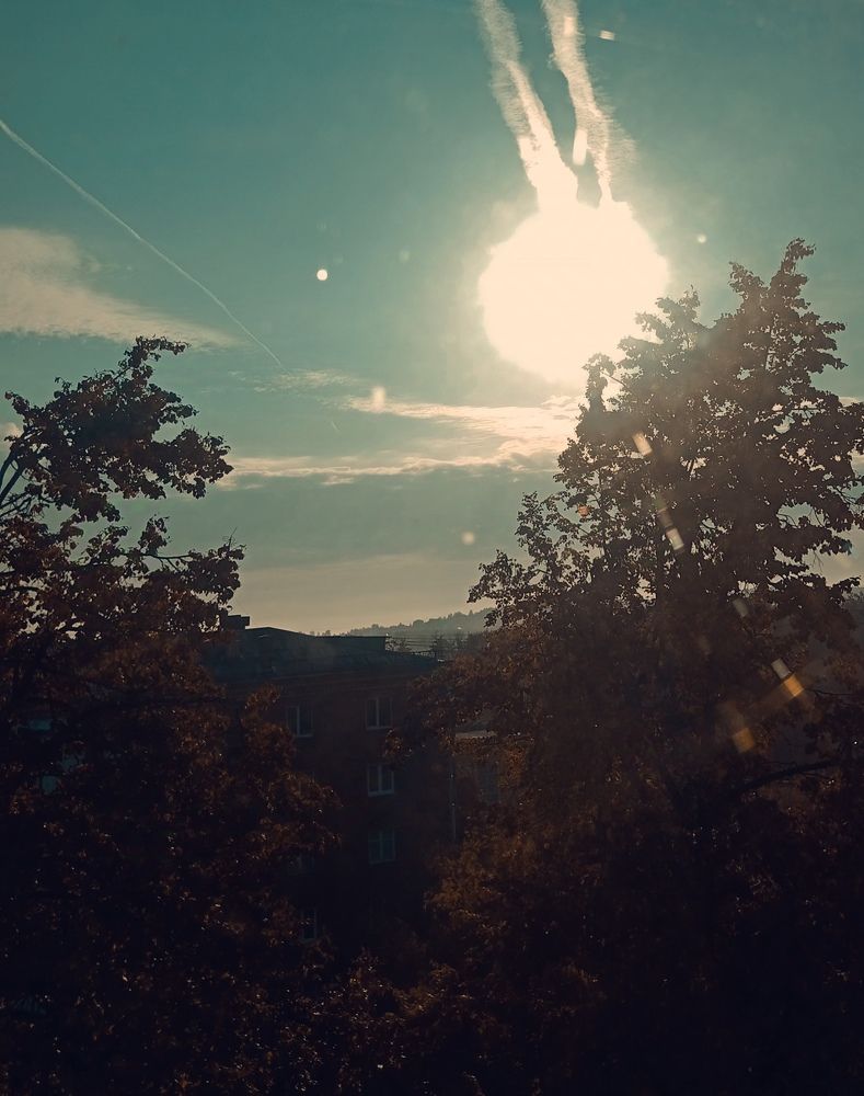 Photo #11033075