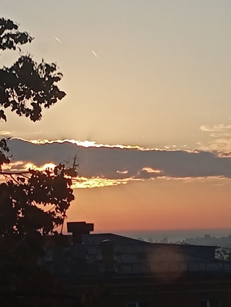 Photo #11033089