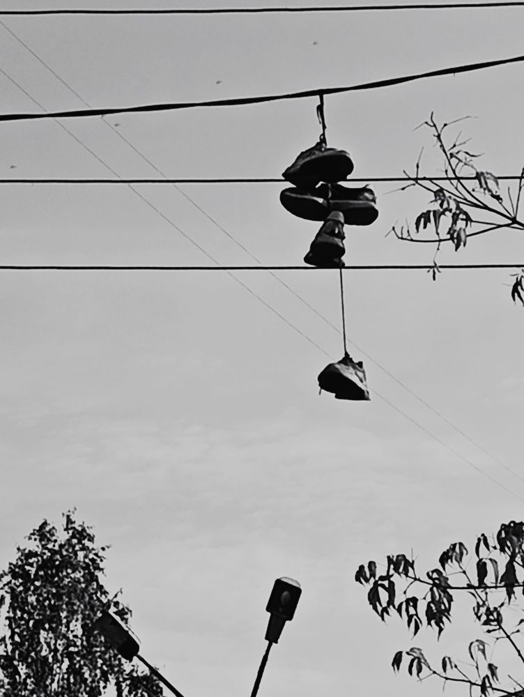 Photograph by Ярослав Рудаков